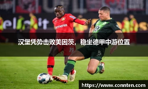 汉堡凭势击败美因茨，稳坐德甲中游位置