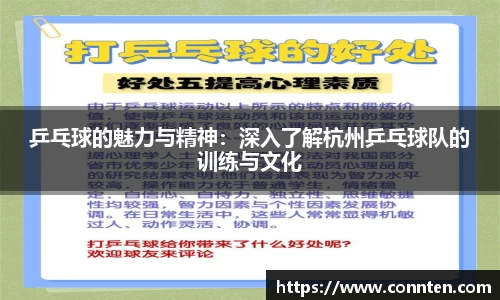 乒乓球的魅力与精神：深入了解杭州乒乓球队的训练与文化