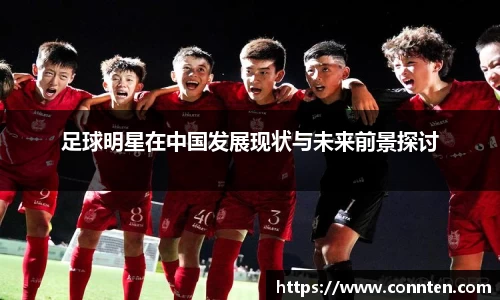 足球明星在中国发展现状与未来前景探讨
